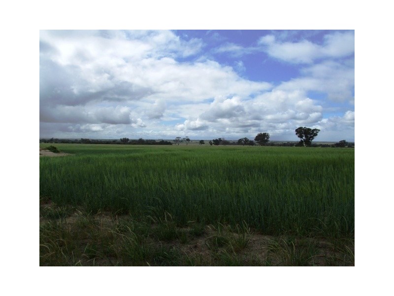 Lot 15 Joppich Rd, Strathalbyn SA 5255