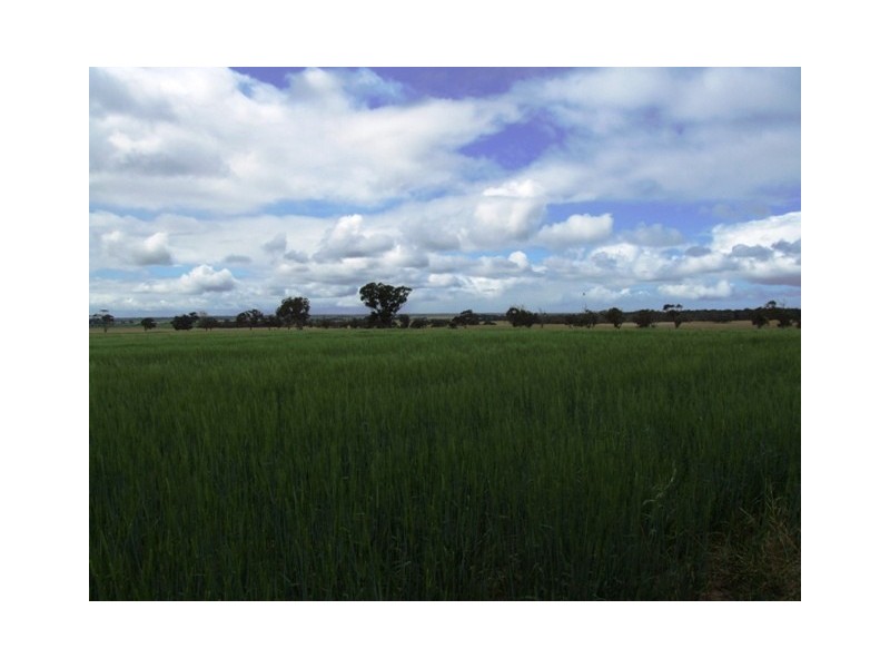 Lot 15 Joppich Rd, Strathalbyn SA 5255