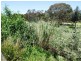 1 Langhorne Creek Road, Strathalbyn SA 5255