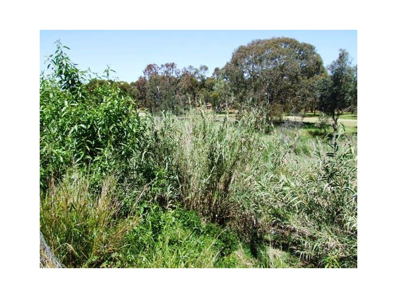 1 Langhorne Creek Road, Strathalbyn SA 5255