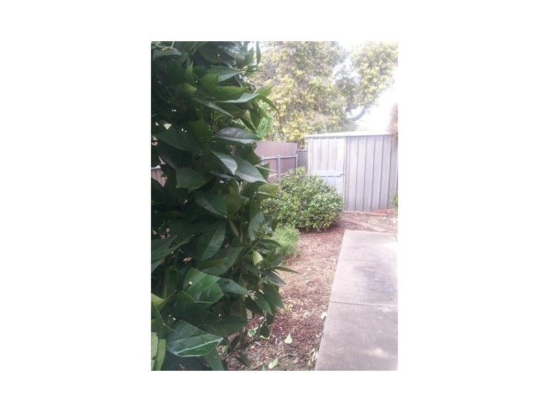 Unit 6 6 Commercial Road, Strathalbyn SA 5255