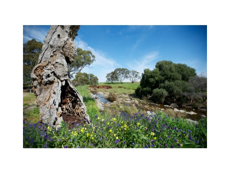 Lot 78 St Andrews Drive, Strathalbyn SA 5255