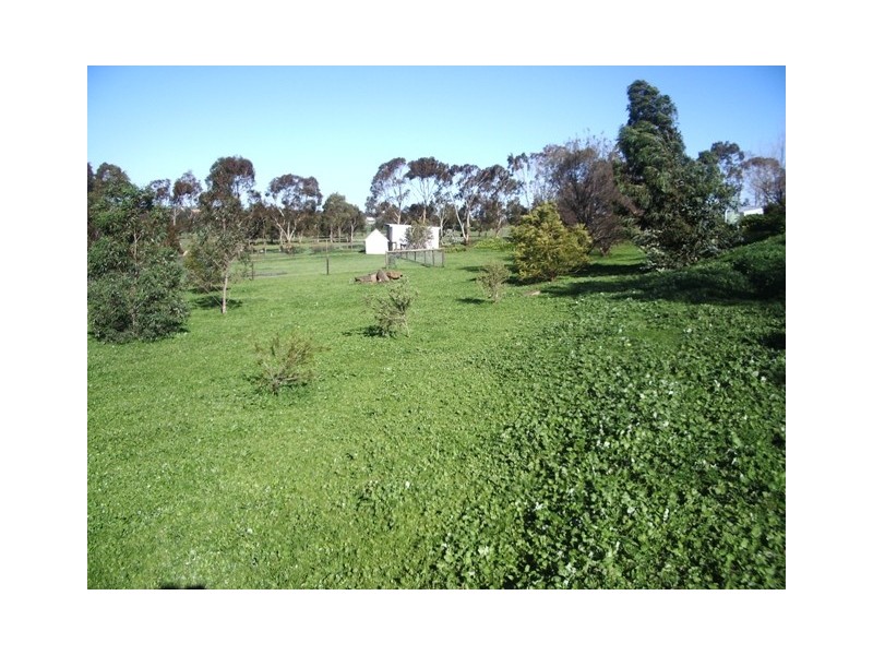 36 Avenue Road, Strathalbyn SA 5255