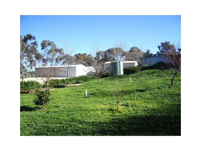 36 Avenue Road, Strathalbyn SA 5255
