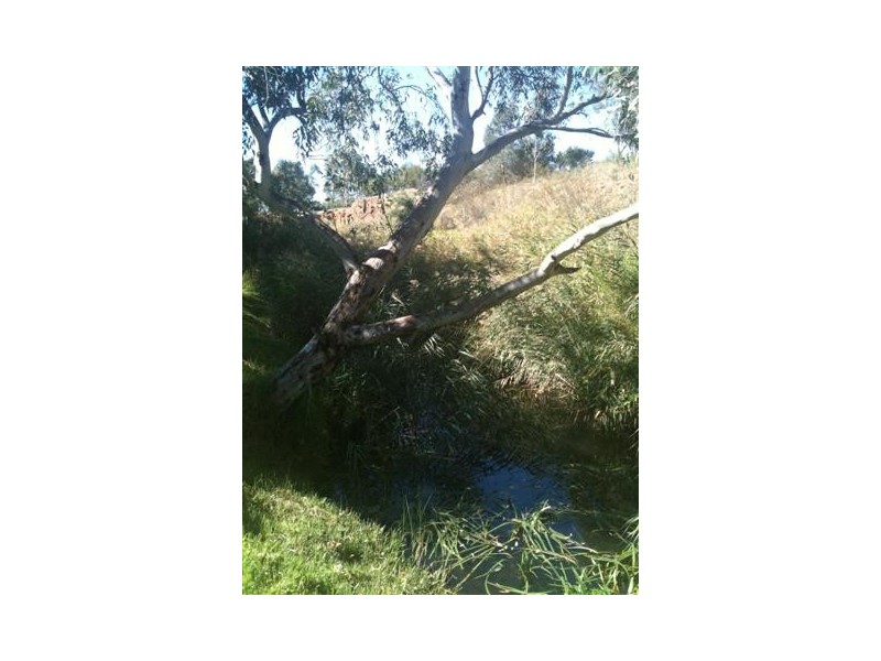 Lot 2 Willyaroo Road, Strathalbyn SA 5255