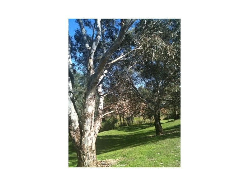 Lot 2 Willyaroo Road, Strathalbyn SA 5255