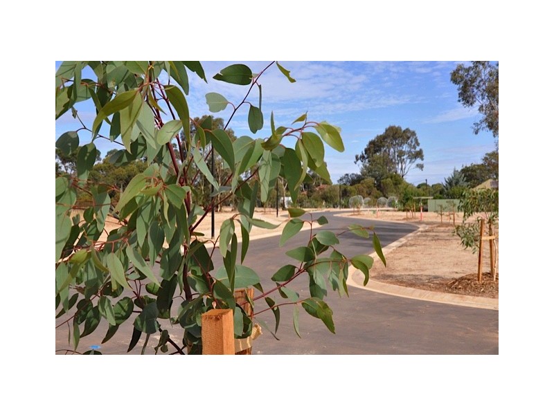 Lot 18 Archer Court, Strathalbyn SA 5255