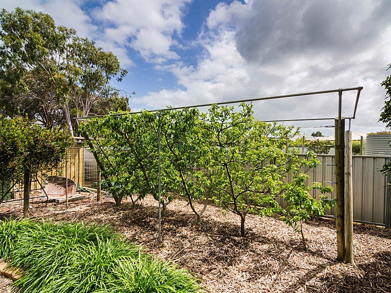 5 Berrysmith Drive, Strathalbyn SA 5255