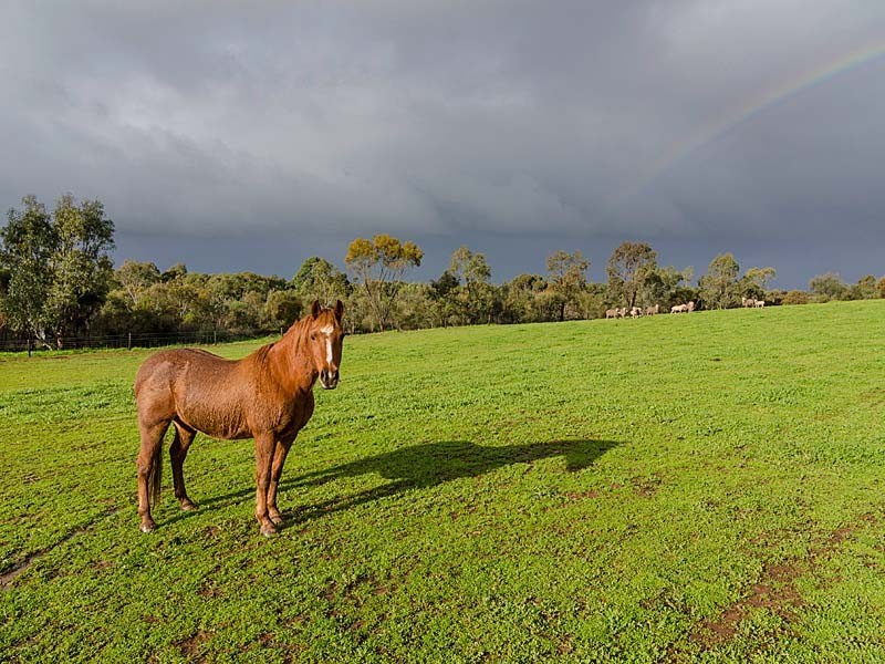 4 Jenkins Road, Strathalbyn SA 5255