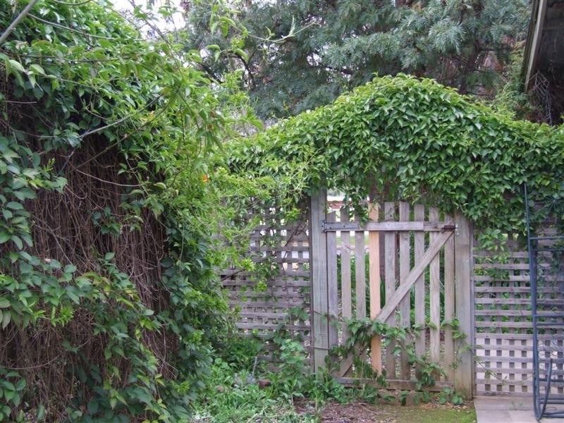 4 Queen Street, Strathalbyn SA 5255