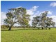 72 Corner Nine Mile and Hamburg Road, Strathalbyn SA 5255