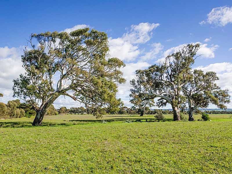 72 Corner Nine Mile and Hamburg Road, Strathalbyn SA 5255