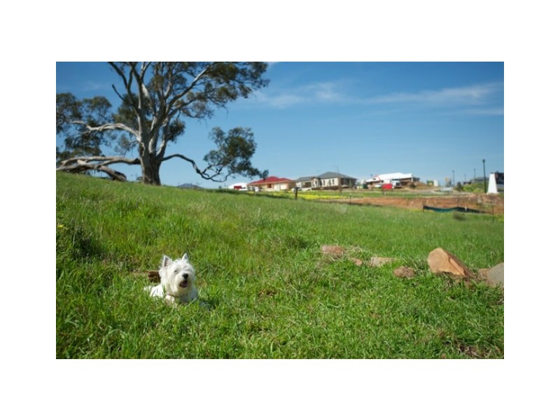 Lot 70 St Andrews Drive, Strathalbyn SA 5255