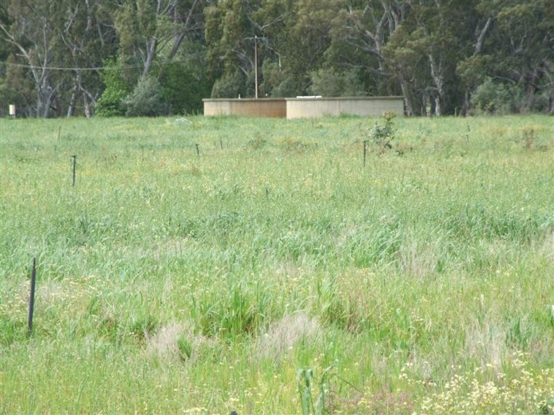 1716 Bull Creek Road, Ashbourne SA 5157