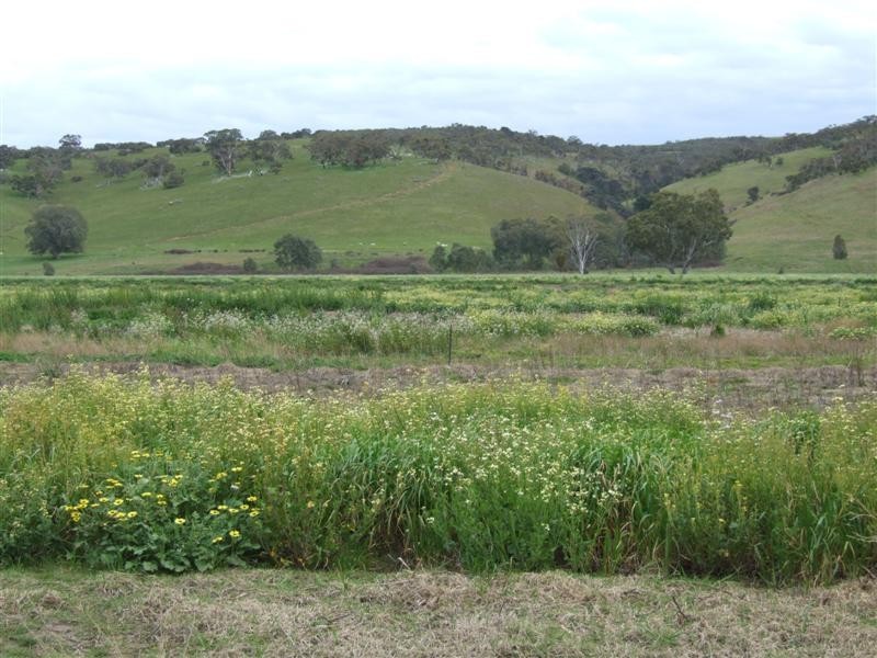 1716 Bull Creek Road, Ashbourne SA 5157