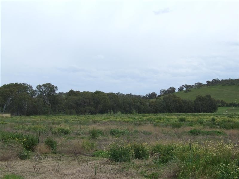 1716 Bull Creek Road, Ashbourne SA 5157
