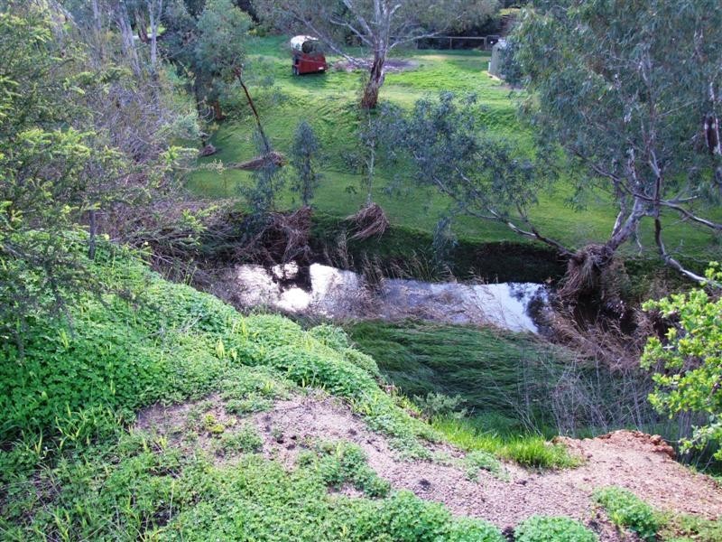 181E Lines Road, Willyaroo SA 5255