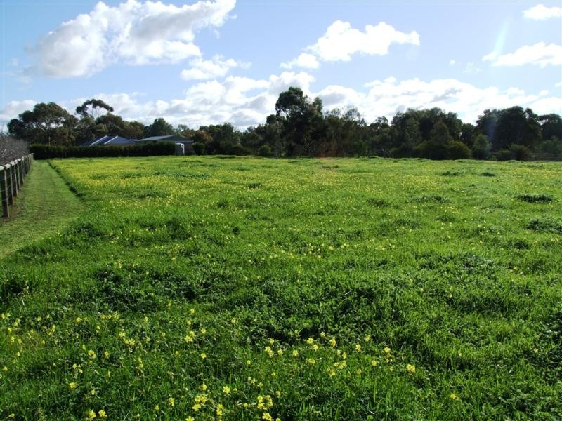 181E Lines Road, Willyaroo SA 5255