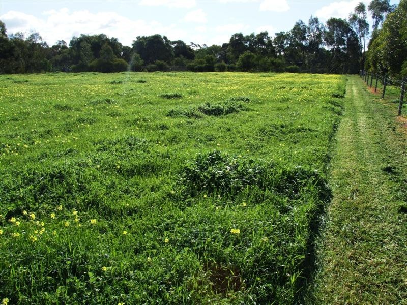 181E Lines Road, Willyaroo SA 5255