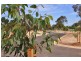 Lot 11 Archer Court, Strathalbyn SA 5255