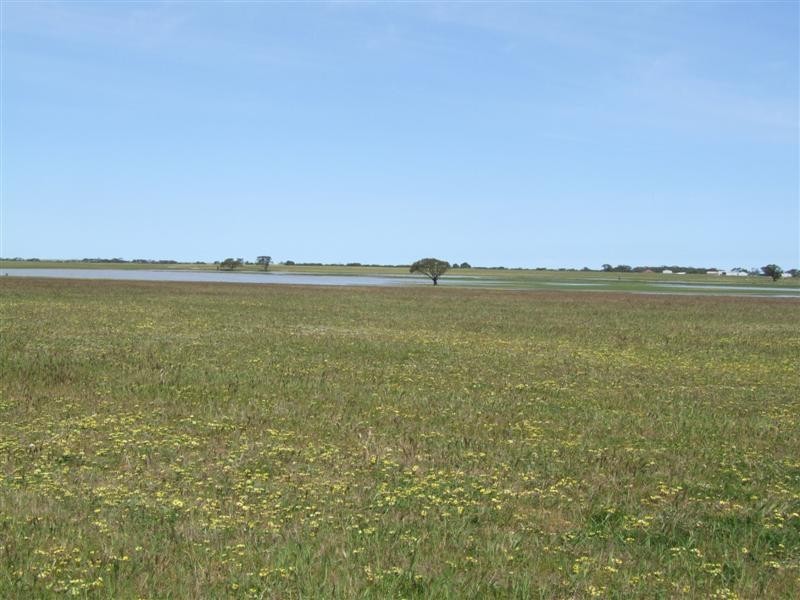 Lot 12 Landseer Road, Milang SA 5256