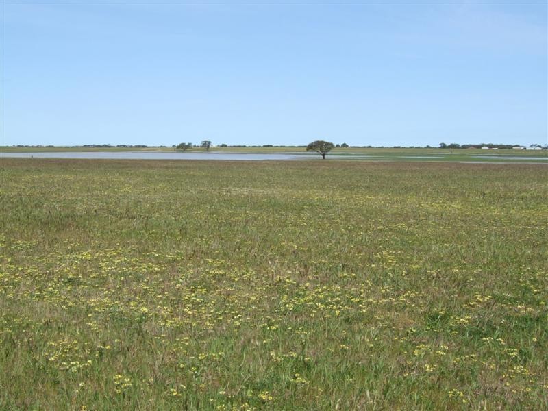 Lot 12 Landseer Road, Milang SA 5256
