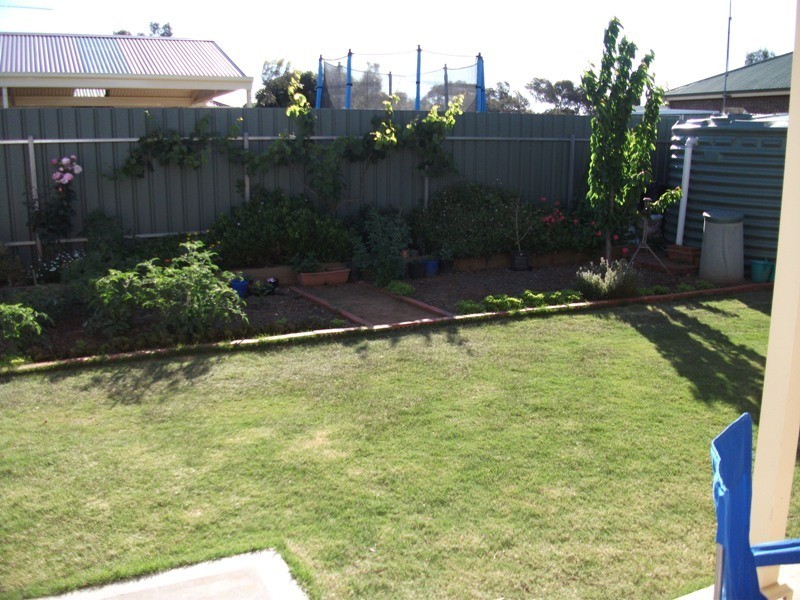 24 Lime Street, Strathalbyn SA 5255