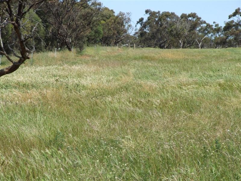 Lot 302 Landseer Road, Milang SA 5256