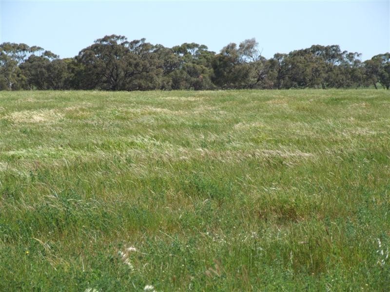 Lot 302 Landseer Road, Milang SA 5256