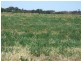 Lot 302 Landseer Road, Milang SA 5256