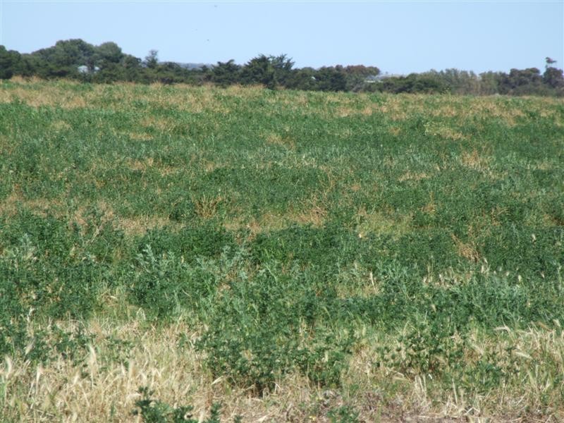 Lot 302 Landseer Road, Milang SA 5256