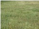 Lot 302 Landseer Road, Milang SA 5256