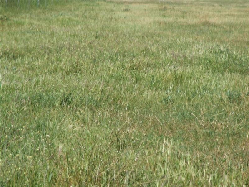 Lot 302 Landseer Road, Milang SA 5256