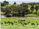 83 Todd Road, Mylor SA 5153