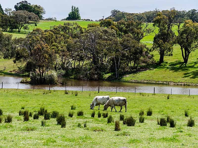 83 Todd Road, Mylor SA 5153