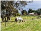 83 Todd Road, Mylor SA 5153