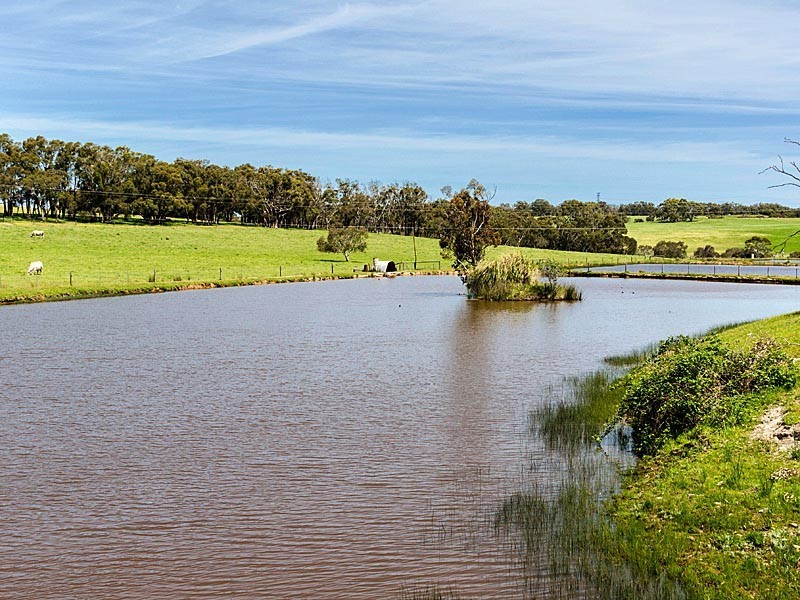 83 Todd Road, Mylor SA 5153