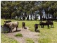 83 Todd Road, Mylor SA 5153