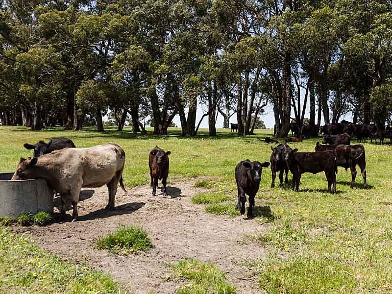 83 Todd Road, Mylor SA 5153