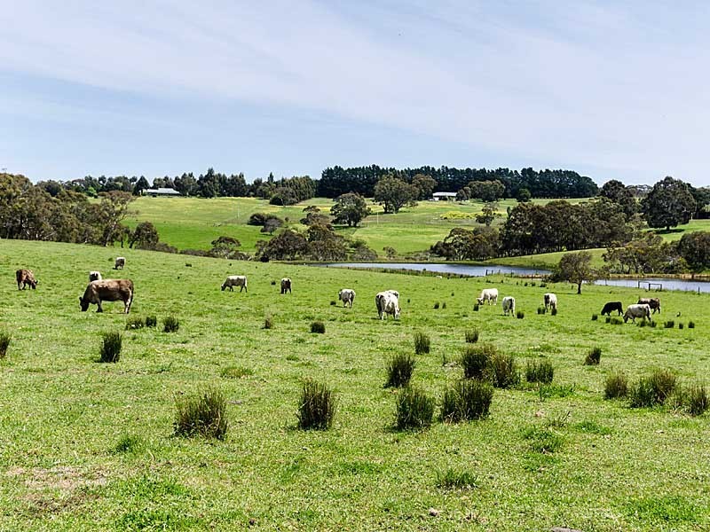 83 Todd Road, Mylor SA 5153