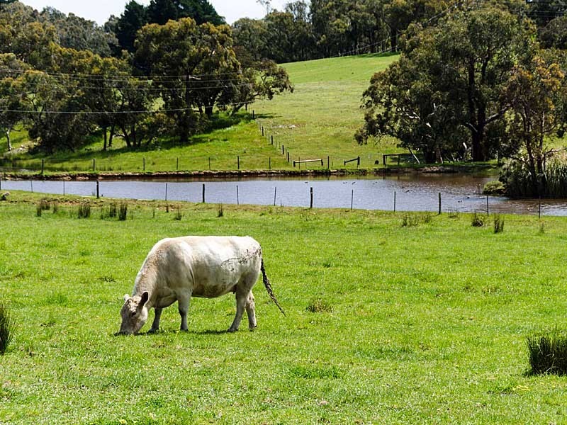 83 Todd Road, Mylor SA 5153