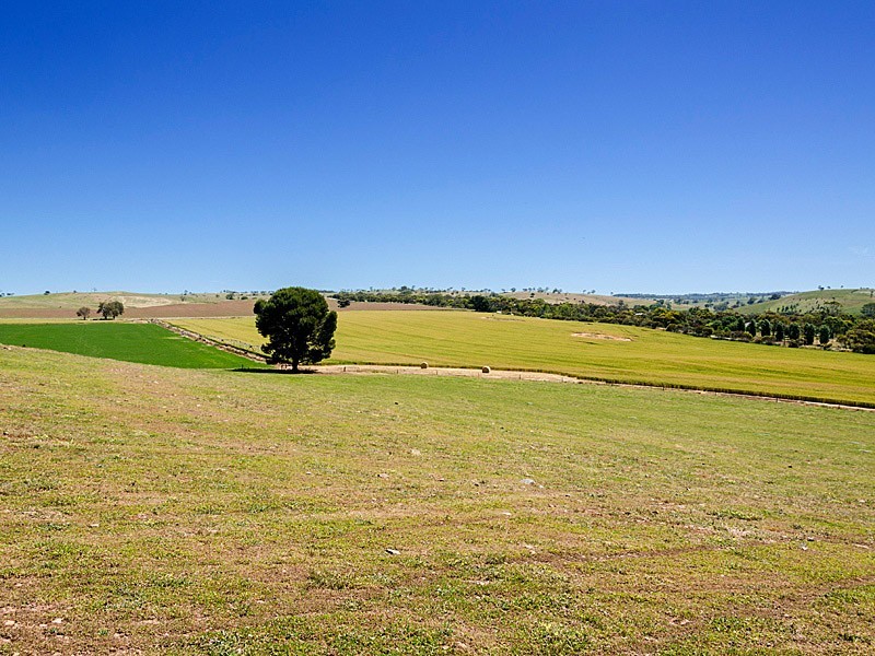 Lot 306 Kerslake Court – “Springfield Rise”, Strathalbyn SA 5255