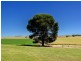 Lot 306 Kerslake Court – “Springfield Rise”, Strathalbyn SA 5255