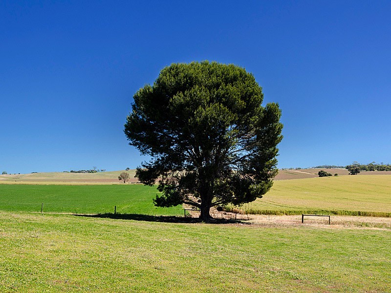 Lot 306 Kerslake Court – “Springfield Rise”, Strathalbyn SA 5255