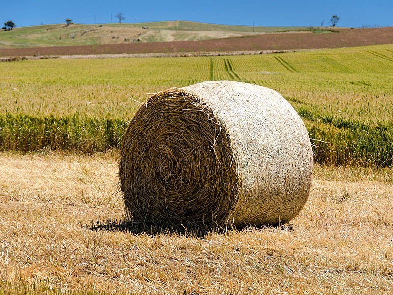 Lot 306 Kerslake Court – “Springfield Rise”, Strathalbyn SA 5255