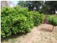 39 Ashbourne Road, Strathalbyn SA 5255
