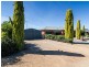 4 McCallum Court, Strathalbyn SA 5255
