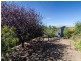 4 McCallum Court, Strathalbyn SA 5255
