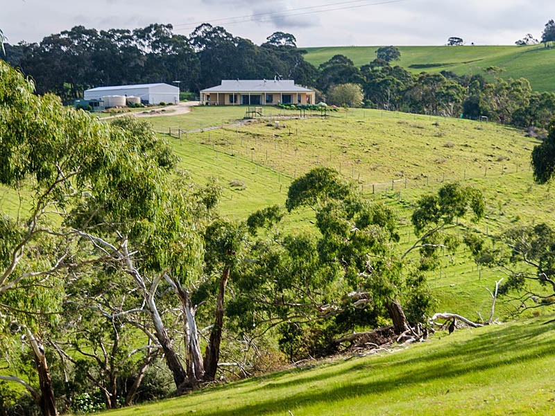 930 Old Bull Creek Rd, Meadows SA 5201