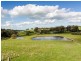 930 Old Bull Creek Road, Meadows SA 5201